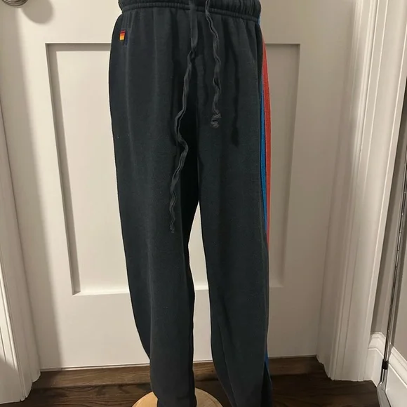 Aviator Nation Charcoal Joggers with Rainbow Stripes - Picture 3 of 6